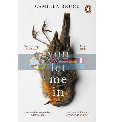 You Let Me In Camilla Bruce 9781784164508