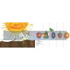 The Very Hungry Caterpillar Eric Carle Puffin 9780140569322