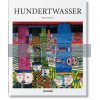 Hundertwasser Pierre Restany 9783836564212