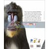 Animal: The Definitive Visual Guide David Burnie 9780241298848