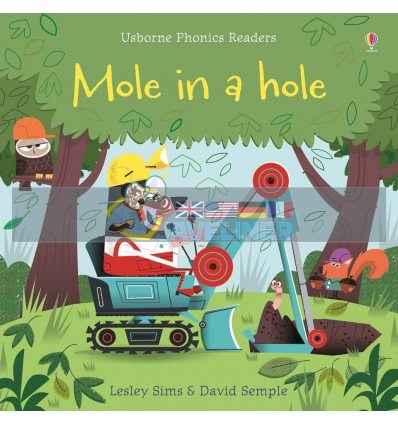 Mole in a Hole David Semple Usborne 9781409580423
