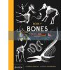 Book of Bones Gabrielle Balkan Phaidon 9780714875118