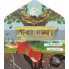 Animal Homes Clover Robin Caterpillar Books 9781848578418
