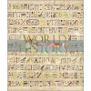 World History: From the Ancient World to the Information Age Philip Parker 9780241457856