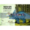 The Age of The Dinosaurs: Triceratops 3D Ester Tome Sassi 9788830301337