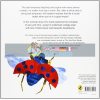 The Bad-Tempered Ladybird Eric Carle Puffin 9780141332031