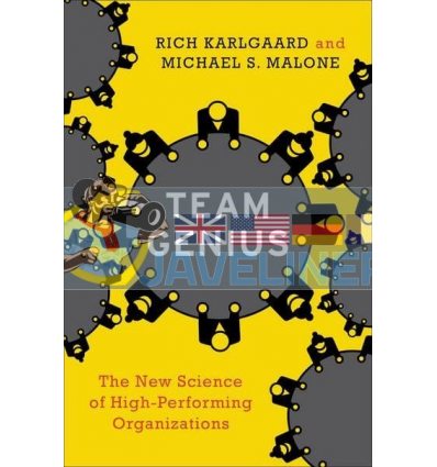 Team Genius: The New Science of High-Performing Organizations Rich Karlgaard 9780062302540