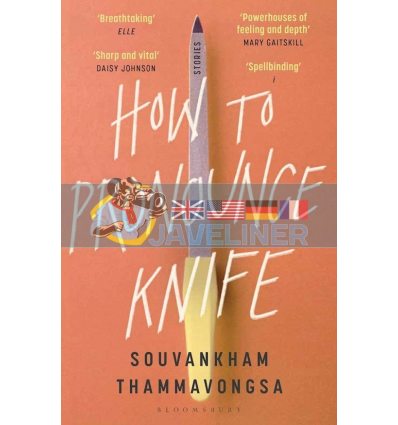 How to Pronounce Knife Souvankham Thammavongsa 9781526610454