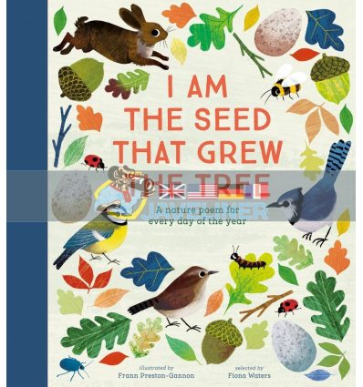 I Am the Seed That Grew the Tree Fiona Waters Nosy Crow 9780857637703