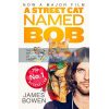 A Street Cat Named Bob James Bowen 9781473633360