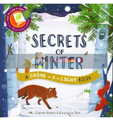 Secrets of Winter Carron Brown Ivy Kids 9781782405191