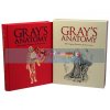 Gray's Anatomy Henry Gray 9781782124269