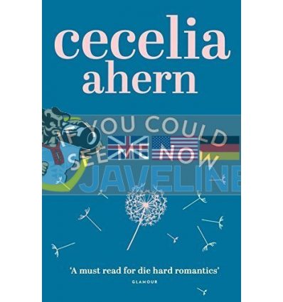 If You Could See Me Now Cecelia Ahern 9780007260812