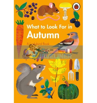 What to Look for in Autumn: A Ladybird Book Elizabeth Jenner Ladybird 9780241416167