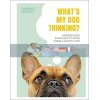 What's My Dog Thinking? Hannah Molloy 9780241435830