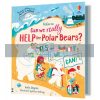 Can We Really Help the Polar Bears? Katie Daynes Usborne 9781474989862