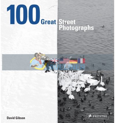 100 Great Street Photographs David Gibson 9783791383132