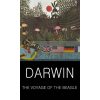 The Voyage of the Beagle Charles Darwin 9781853264764