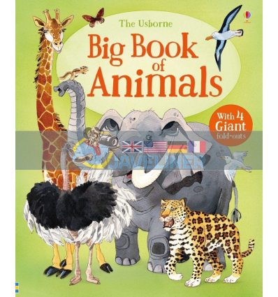 Big Book of Animals Fabiano Fiorin Usborne 9781474928953