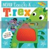 Never Touch a T. Rex Rosie Greening Make Believe Ideas 9781789474022