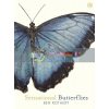 Sensational Butterflies Ben Rothery Ladybird 9780241361047