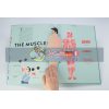 Anatomy: A Cutaway Look Inside the Human Body Helene Druvert Thames & Hudson 9780500651360