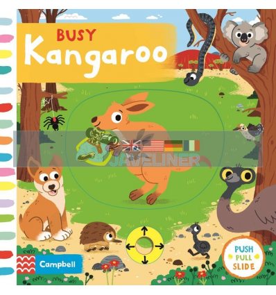 Busy Kangaroo Carlo Beranek Campbell Books 9781529017700