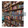 Bookstores: A Celebration of Independent Booksellers Horst A. Friedrichs 9783791385815