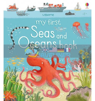 My First Seas and Oceans Book Jane Newland Usborne 9781474938235