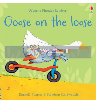 Goose on the Loose Russell Punter Usborne 9781474970181