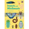 Insects and Minibeasts: A Ladybird Book Amber Davenport Ladybird 9780241417034