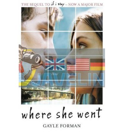 Where She Went (Book 2) Gayle Forman 9781849414289