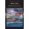 Moby Dick Herman Melville 9781853260087