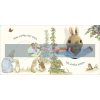 Peter Rabbit: Let's Cuddle (A Puppet Play Book) Beatrix Potter Warne 9780723269076