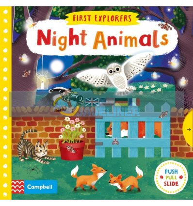 First Explorers: Night Animals Jenny Wren Campbell Books 9781509832620