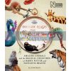 Fantastic Beasts: The Wonder of Nature Natural History Museum 9781526624031