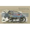 Fantastic Beasts: The Wonder of Nature Natural History Museum 9781526624031