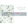 House of Plants Caro Langton 9780711238374