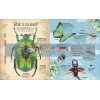 The Book of Brilliant Bugs Claire McElfatrick Dorling Kindersley 9780241395806