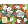 Tree Explorer Nature Sticker and Activity Book Alice Lickens National Trust 9781909881402