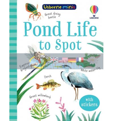 Pond Life to Spot Kate Nolan Usborne 9781474975018