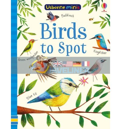 Birds to Spot Sam Smith Usborne 9781474952156