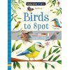 Birds to Spot Sam Smith Usborne 9781474952156