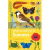 What to Look for in Summer: A Ladybird Book Elizabeth Jenner Ladybird 9780241416204