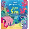 Little Lift and Look: Under the Sea Anna Milbourne Usborne 9781474952965
