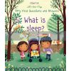 Lift-the-Flap Very First Questions and Answers: What is Sleep? Katie Daynes Usborne 9781474940108