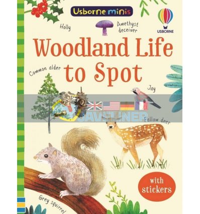 Woodland Life to Spot Kate Nolan Usborne 9781474975001