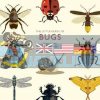 The Little Guide to Bugs Alison Davies 9781787131637