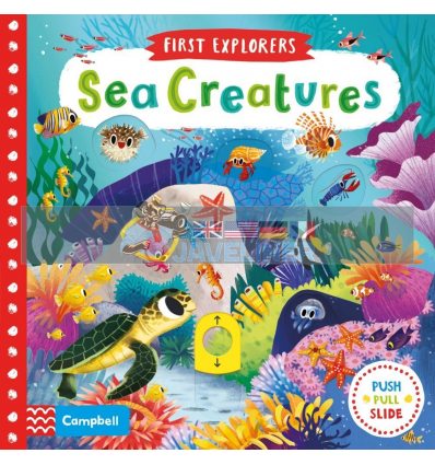 First Explorers: Sea Creatures Chorkung Campbell Books 9781509832613