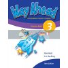 Way Ahead 3 Practice Book 9781405058544
